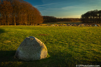 The Deer Park