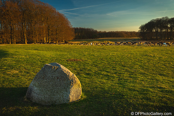 The Deer Park