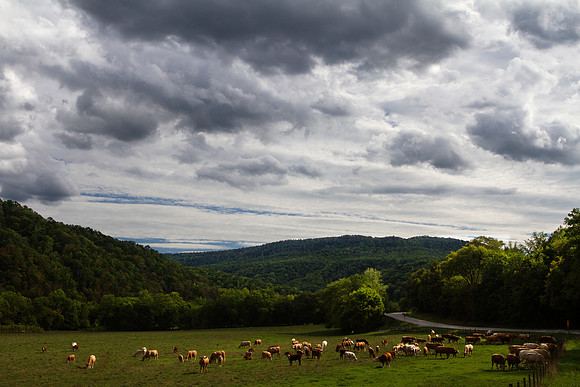 Boxley Valley