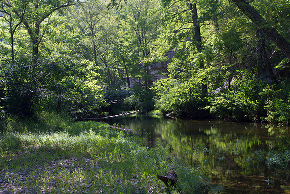 Buffalo River