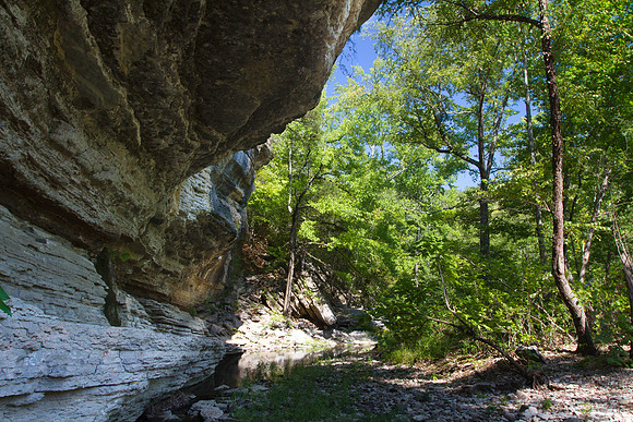 Buffalo River