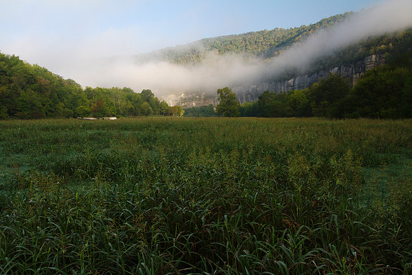 Buffalo River