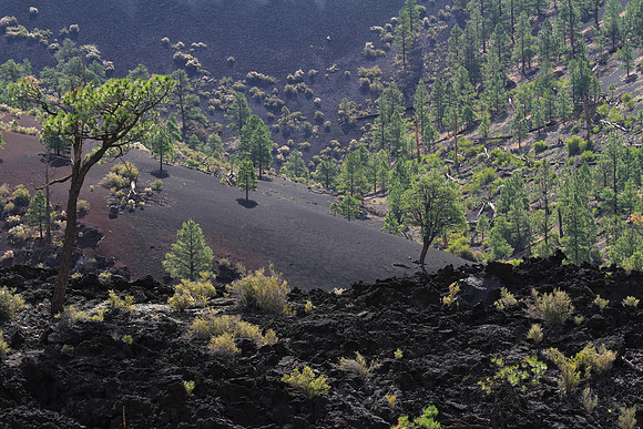 Sunset Crater Volcano National Monument