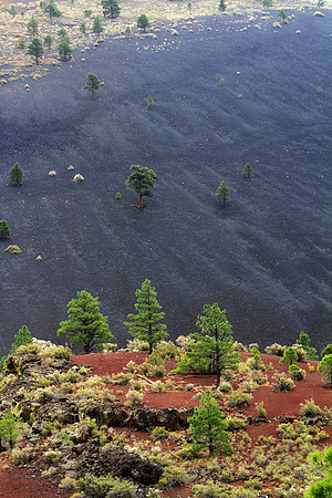 Sunset Crater Volcano National Monument