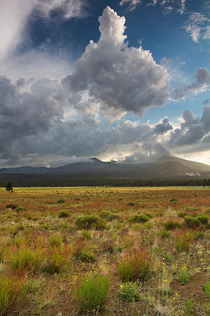 Sunset Crater Volcano National Monument