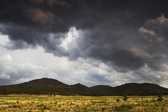 Sunset Crater Volcano National Monument