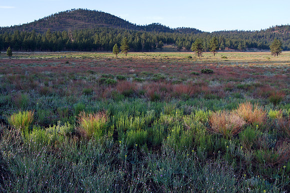 Sunset Crater Volcano National Monument