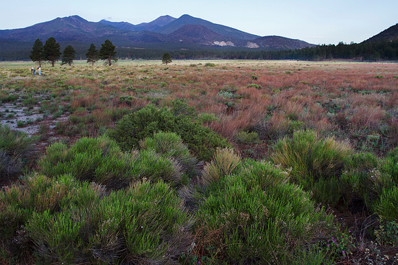 Sunset Crater Volcano National Monument