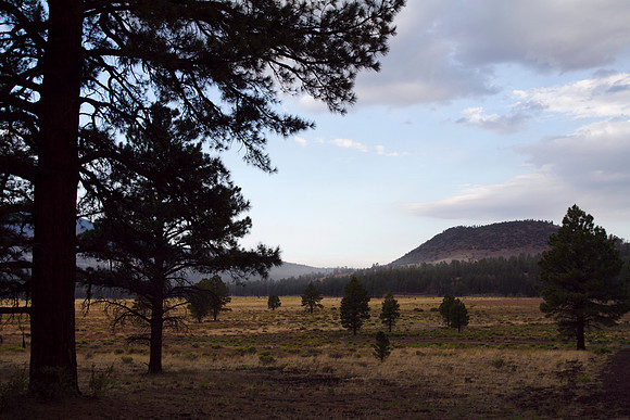 Sunset Crater Volcano National Monument