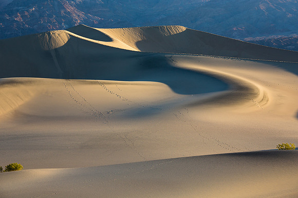 Mesquite Flat Sand Dunes at Sunrise