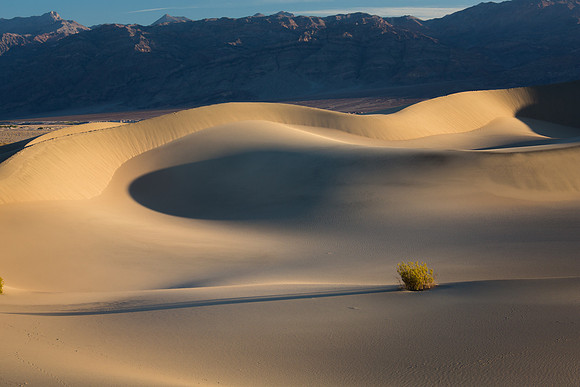 Mesquite Flat Sand Dunes at Sunrise