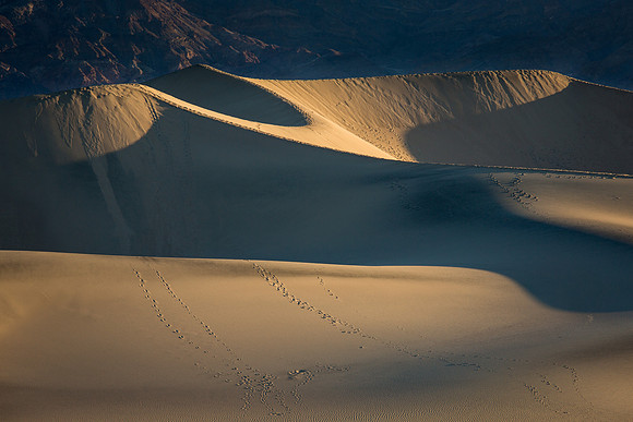 Mesquite Flat Sand Dunes at Sunrise