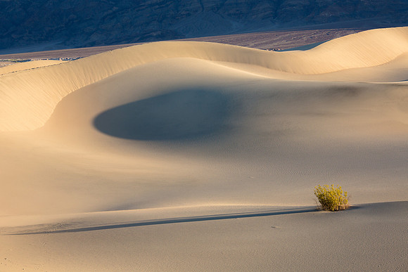 Mesquite Flat Sand Dunes at Sunrise
