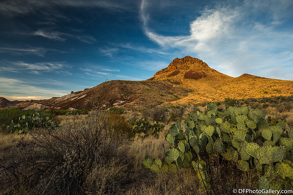 Mountains and desert at sunset