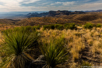 Mountains and desert at sunset