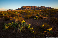Mountains and desert at sunset