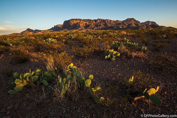Mountains and desert at sunset