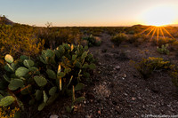Mountains and desert at sunset
