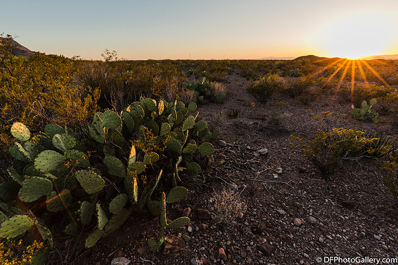 Mountains and desert at sunset