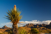 Mountains and desert at sunset