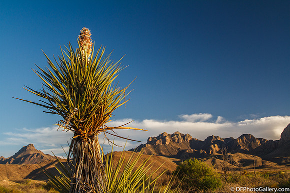 Mountains and desert at sunset