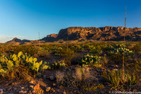 Mountains and desert at sunset