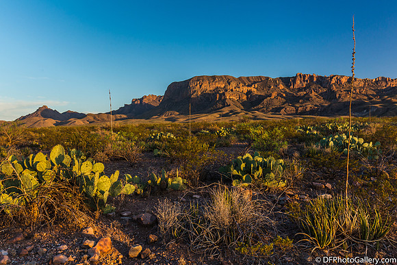Mountains and desert at sunset