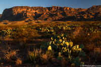Mountains and desert at sunset