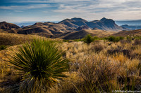 Mountains and desert at sunset
