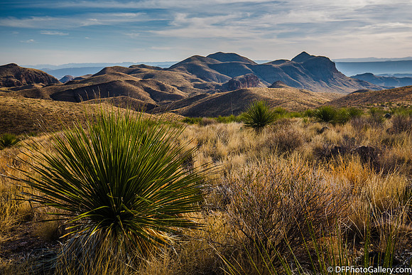 Mountains and desert at sunset