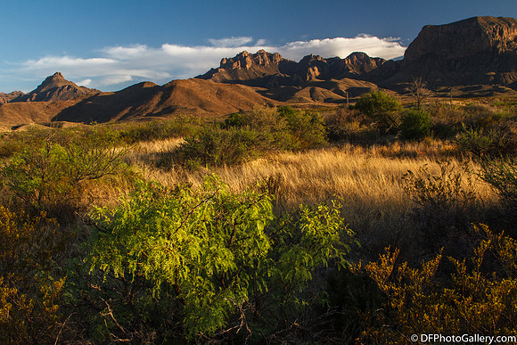 Mountains and desert at sunset