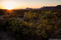 Mountains and desert at sunset
