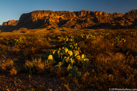 Mountains and desert at sunset