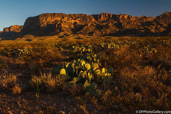 Mountains and desert at sunset