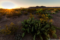 Mountains and desert at sunset
