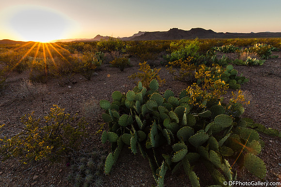 Mountains and desert at sunset