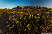 Mountains and desert at sunset