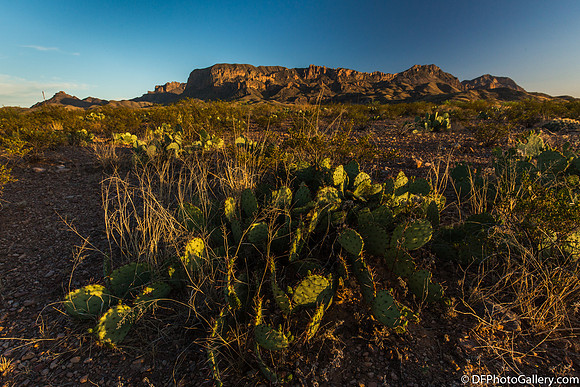 Mountains and desert at sunset