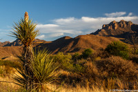Mountains and desert at sunset