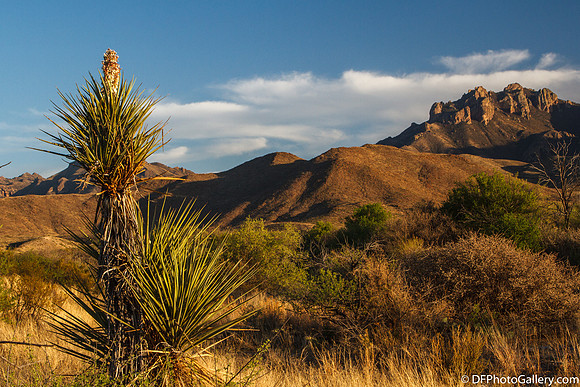 Mountains and desert at sunset