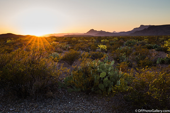 Mountains and desert at sunset