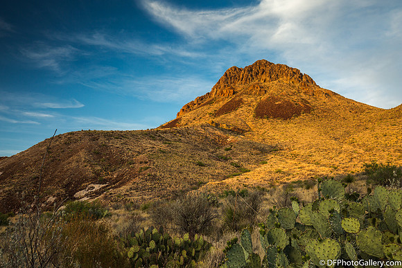 Mountains and desert at sunset