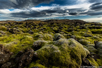 Moss covered lava field from the Ring Road on the North