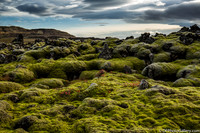 Moss covered lava field from the Ring Road on the North