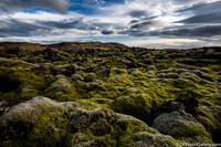 Moss covered lava field from the Ring Road on the North