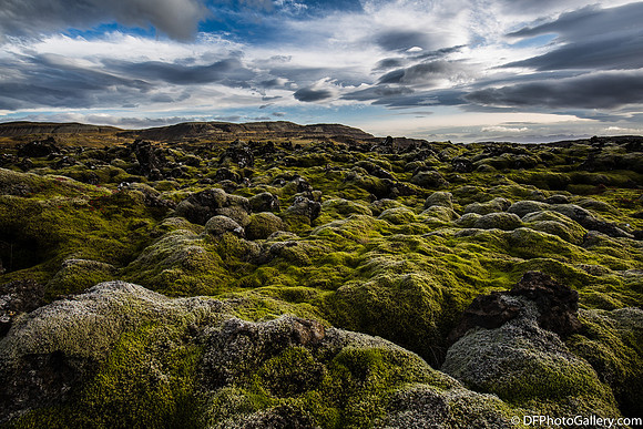 Moss covered lava field from the Ring Road on the North