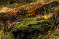 From Vatnajökull National Park