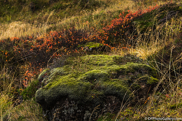 From Vatnajökull National Park