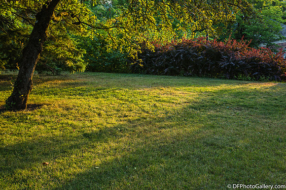 The University's Botanical Garden