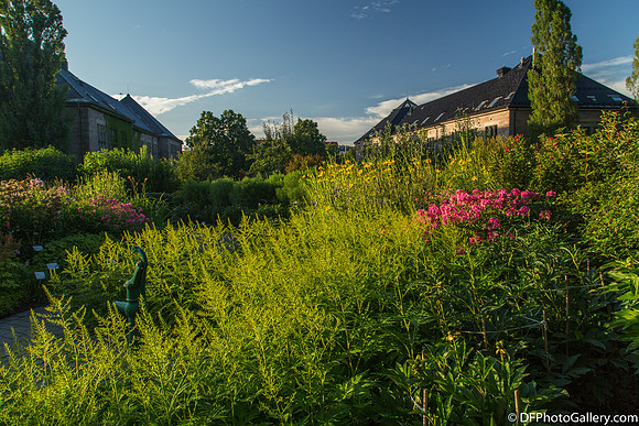 The University's Botanical Garden